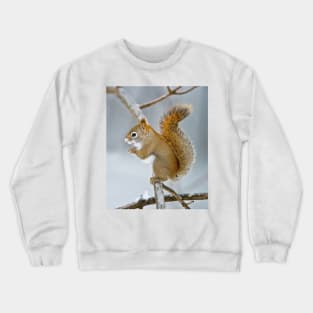 Red Squirrel Crewneck Sweatshirt